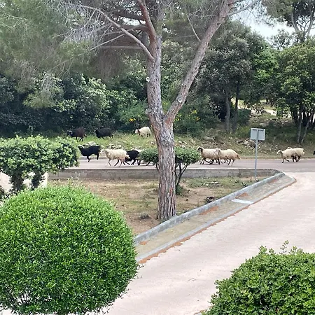Climatise Confort A 100 M De La Lägenhet *
