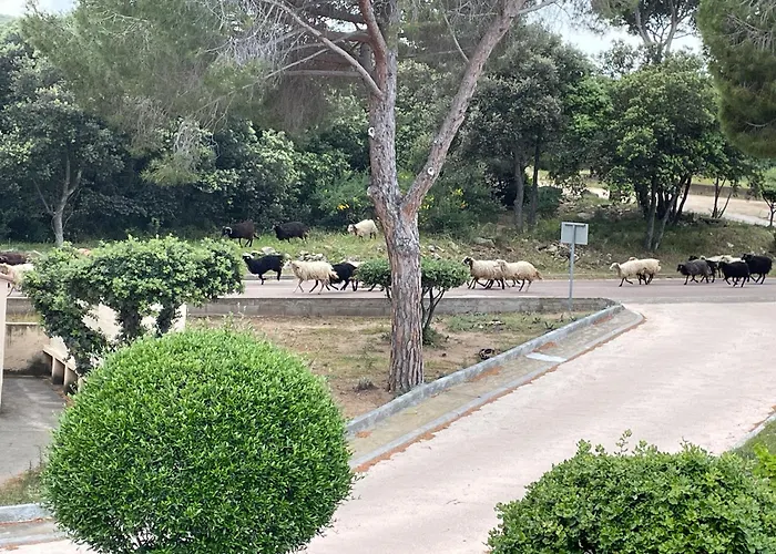Climatise Confort A 100 M De La Lägenhet *