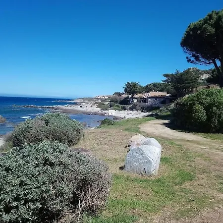 Apartment Climatise Confort A 100 M De La Lumio (Corsica)