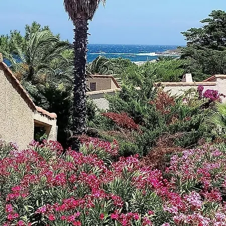 Climatise Confort A 100 M De La Apartment Lumio (Corsica)