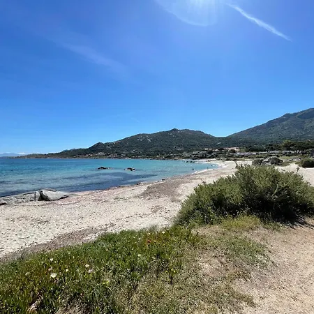 شقة Climatise Confort A 100 M De La