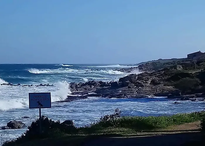 Appartement Climatisé Confort à 100 M De La *
