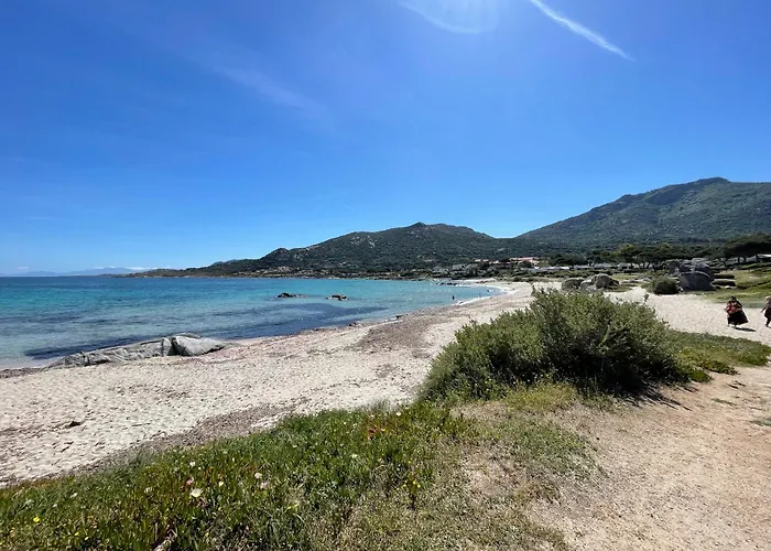 Appartement Climatisé Confort à 100 M De La